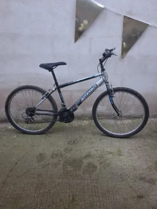 Bicicleta Topbike Talla M/S