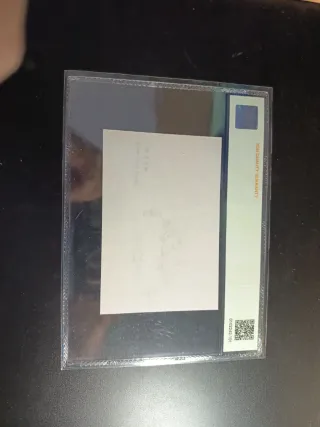 China Vignette Lion's Head Ornament 1940