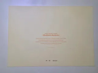 Litografia Disney Collezione Il Re Leone