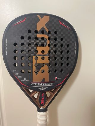 Pala Siux Pegasus Revolution 12k