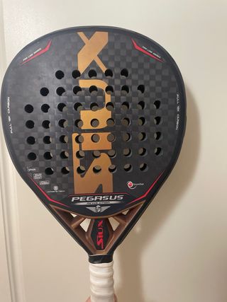 Pala Siux Pegasus Revolution 12k