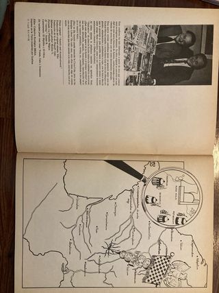 Asterix y las Nucleares