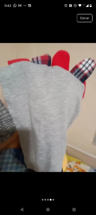 Conjunto chaleco Deno Kids dinosaurio