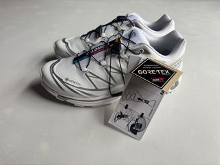 Zapatillas Salomon XT-6 Blancas y Plateadas