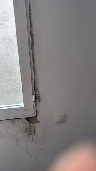 Pintor reparación de humedades y mucho más!!