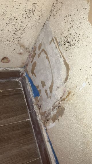 Pintor reparación de humedades y mucho más!!