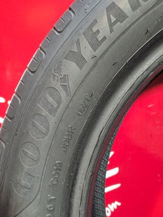 [R. 1739] - 195 55 16 91V NEUMÁTICOS GOODYEAR