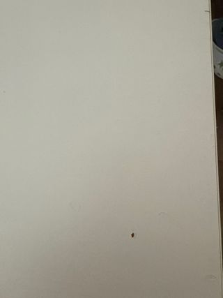 Mesa y 4 Sillas Blancas