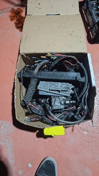 Bomba Gasoil BMW 325 TDS