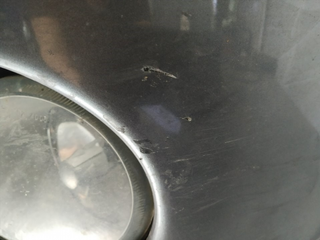 PARAGOLPES DELANTERO RENAULT SCENIC I (JA) F9QK7