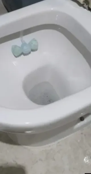 Inodoro con cisterna de porcelana perfecto.