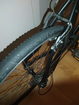 Bicicleta Orbea Carpe