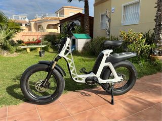 Bicicleta eléctrica Fantic Issimo Bafang