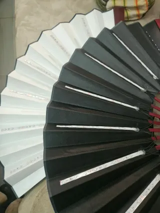 Abanicos con LED (Negro y Blanco)