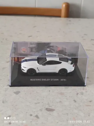 Mustang Shelby GT350R (2016) modellino