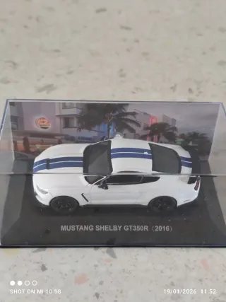 Mustang Shelby GT350R (2016) modellino