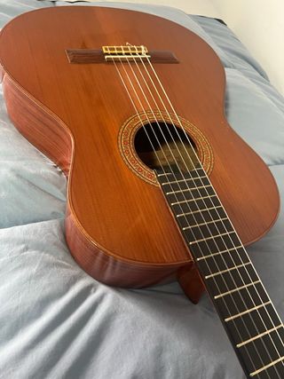 Guitarra Clásica Bertoli 1998 Pro3