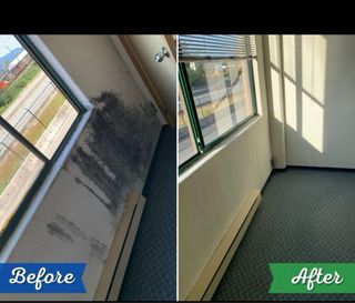 Limpiezas en hogares negocios y perfeccionista