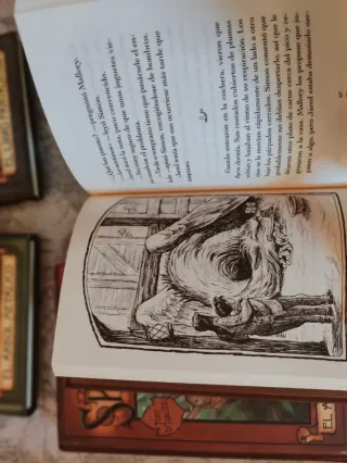 Colección de libros Spiderwick