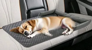 Asiento protector coche o sofá para perro