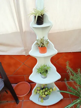Estantería de esquina con plantas