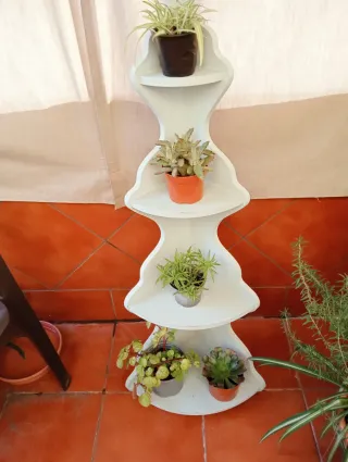 Estantería de esquina con plantas