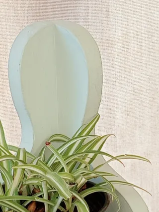 Estantería de esquina con plantas