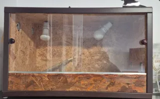 Terrario Vetro Legno Vetro