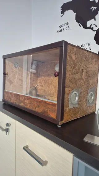 Terrario Vetro Legno Vetro