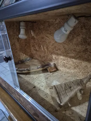 Terrario Vetro Legno Vetro