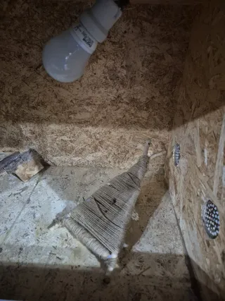 Terrario Vetro Legno Vetro