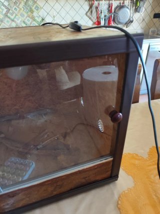 Terrario Vetro Legno Vetro