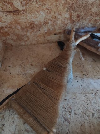 Terrario Vetro Legno Vetro