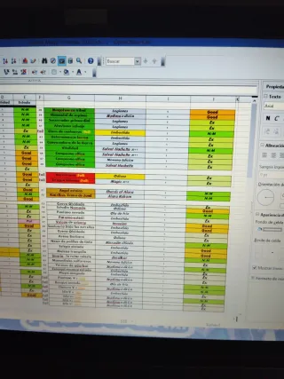 Cartas Magic The Gathering