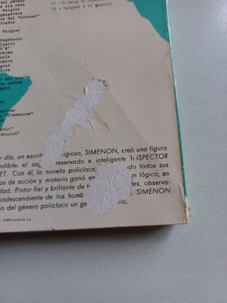 Maigret y el extraño vagabundo