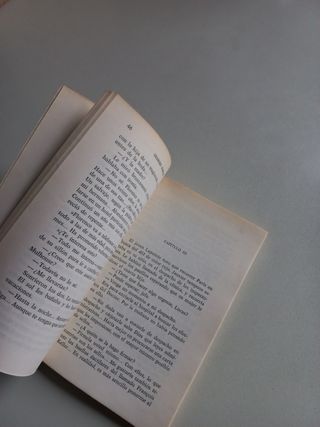 Maigret y el extraño vagabundo