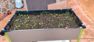 Huerto elevado con ruedas