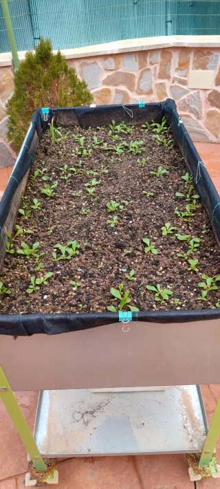 Huerto elevado con ruedas