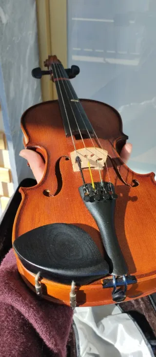 Viola 12 con arco y funda