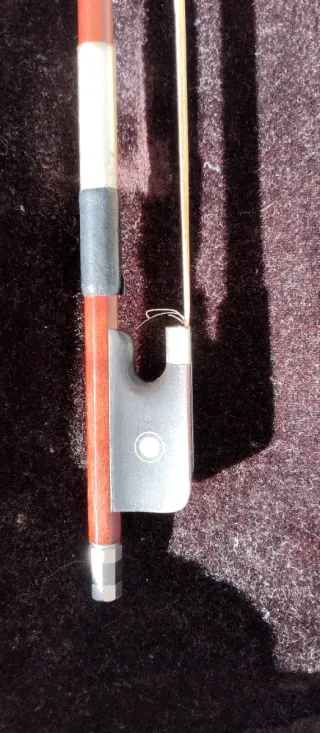 Viola 12 con arco y funda