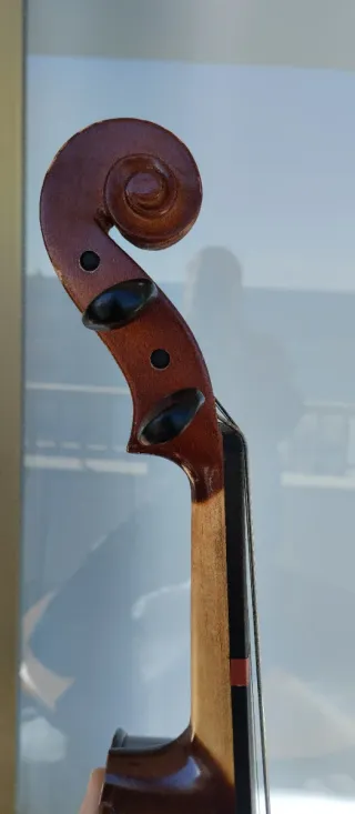 Viola 12 con arco y funda