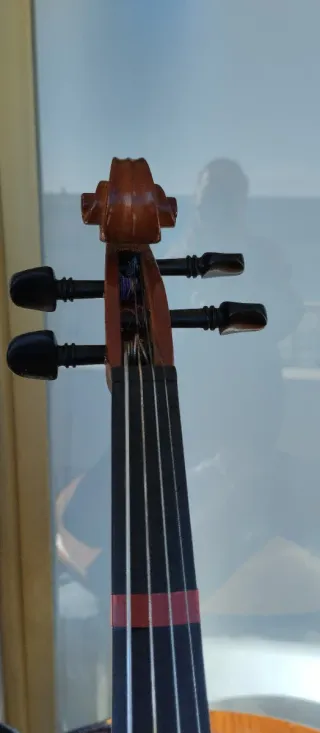 Viola 12 con arco y funda