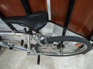 Bicicleta de Montaña Plateada