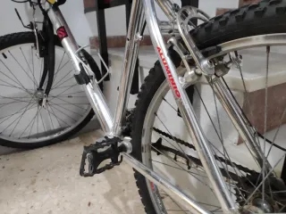 Bicicleta de Montaña Plateada