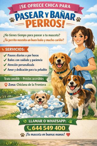 Pasear y cuidados de mascota a bajo costo