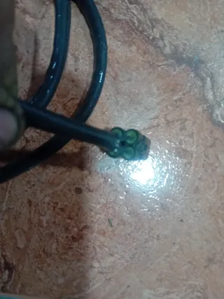 Sonda lambda Kawasaki Z900 / Z900e