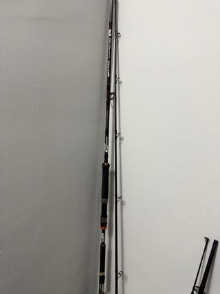 Caña de Pesca Spinning Siluro MAXCAT