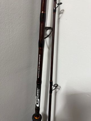 Caña de Pesca Spinning Siluro MAXCAT
