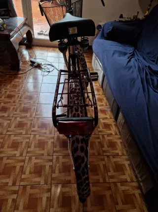 Bicicleta Dolce & Gabbana Edición Limitada