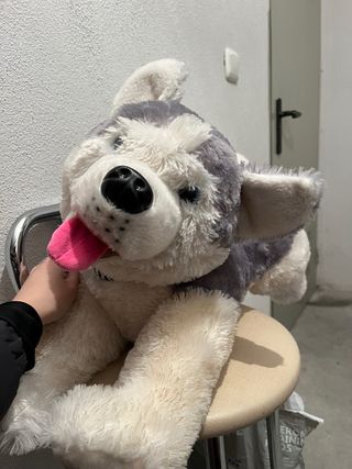 Peluche perro husky grande